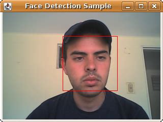 OpenCV Java Face 的图像结果