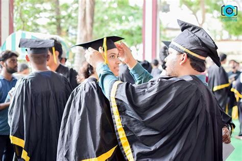 Graduation Stream 的图像结果