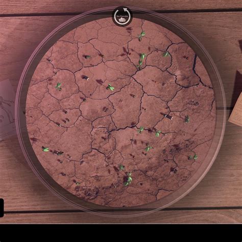 Image result for Evolution Simulator Gameplay