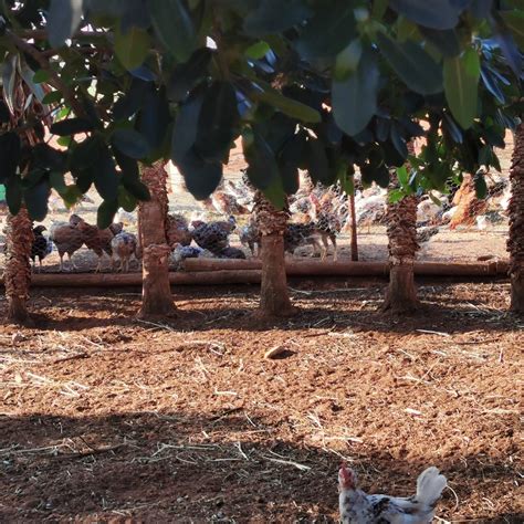 Albertinia Tourism (2024): All You Need to Know Before You Go