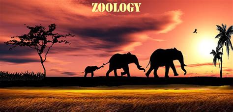 » Zoology