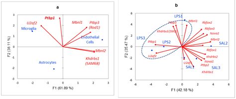 LPS Administration Impacts Glial Immune Programs by Alternative Splicing