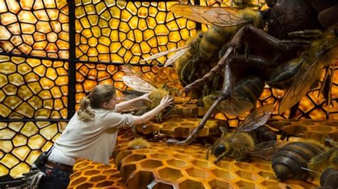 Image result for Giant Insect Lab Gallery