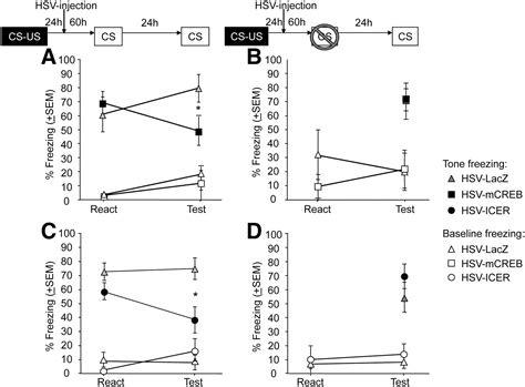 Distinctive roles for amygdalar CREB in reconsolidation and extinction of fear memory