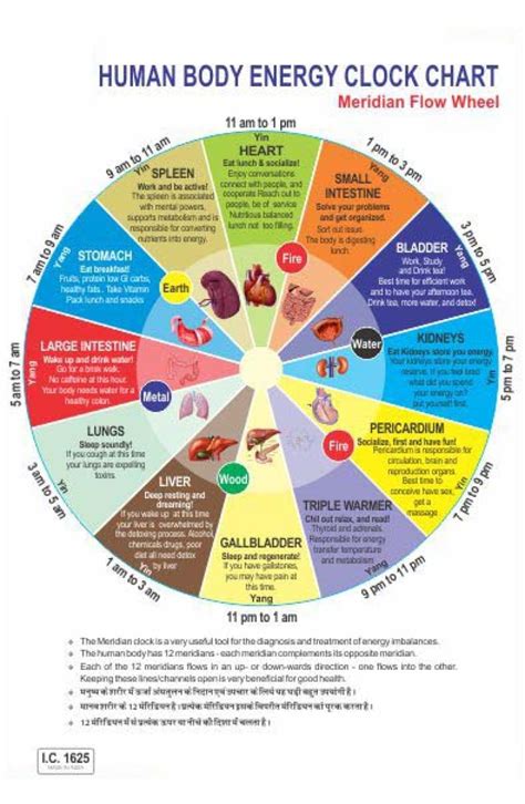 Human Energy System Chart 的图像结果