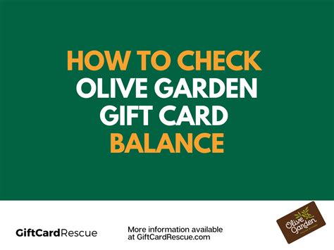Olive Garden Gift Card Balance (Plus, 10 Money-Saving Secrets at Olive ...