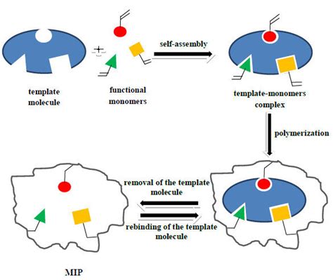 Mar MIP Tutorial 的图像结果
