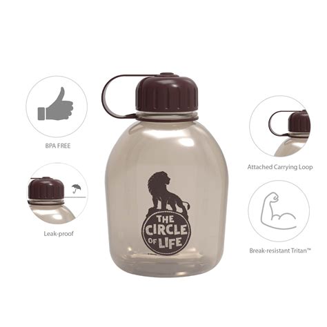 Buy Zak Designs Disney Movie Lion King Reusable Plastic Water Bottle ...