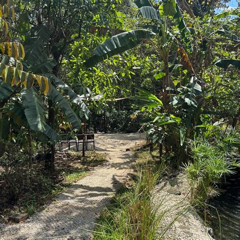 CHOCO TOUR COSTA RICA - All You Need to Know BEFORE You Go 2026 (with ...