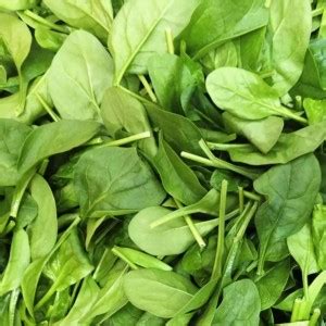 MYLAWN Palak/Spinach Vegetables Seed Price in India - Buy MYLAWN Palak ...