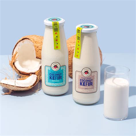 Gaga's Gut Loving Vegan Kefir | Box of 8 | Order Online, Free Delivery ...