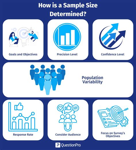 Image result for Sample Size Example