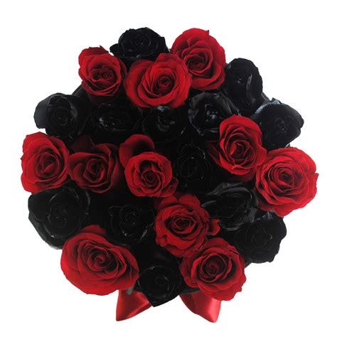 Black Roses Delivery Nyc at Crystal Frasher blog