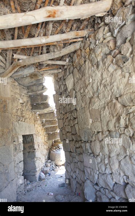 Primitive Humans Building 的图像结果