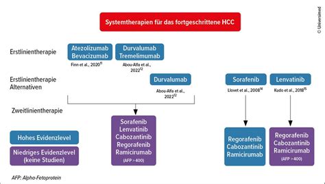 Hepatozelluläres Karzinom - Hepatologie - Universimed - Medizin im Fokus