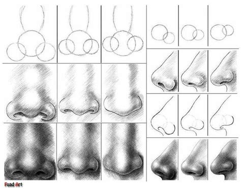Image result for Nose Tutorial
