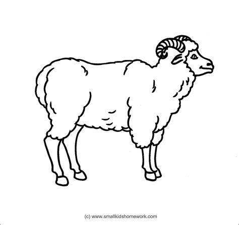 Sheep Outline Drawing at GetDrawings | Free download