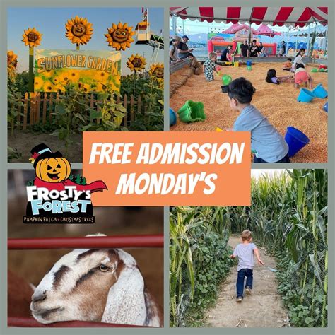 FREE ADMISSION MONDAY’S @ FROSTY’S FOREST PUMPKIN PATCH, Frosty's ...