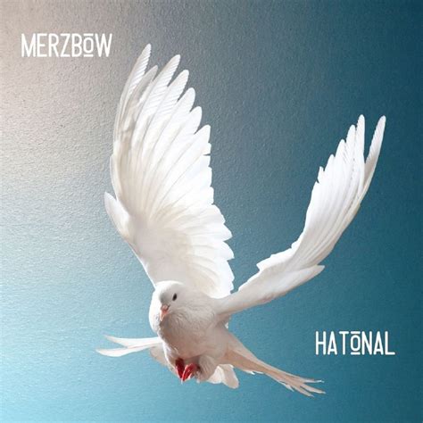 Merzbow - Hatonal (BLOD#20 / ICV003) - Industrial Complexx