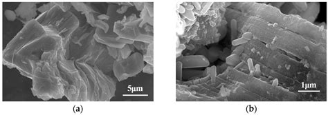 In-Situ Growth of ZnO Whiskers on Ti2ZnC MAX Phases - phases of zno