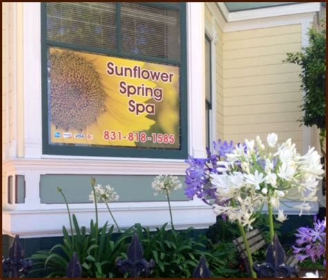 Sunflower Spring Spa | Downtown Santa Cruz, CA