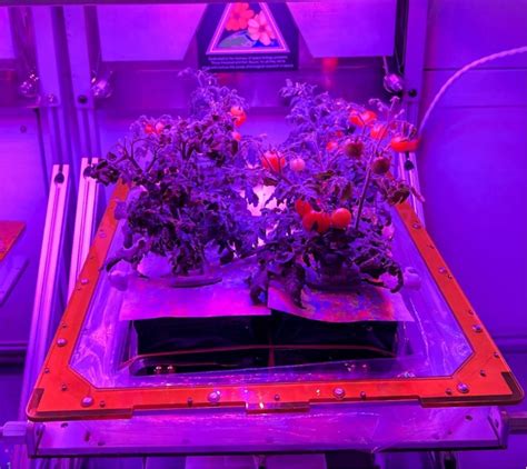 Science Pictures 的图像结果