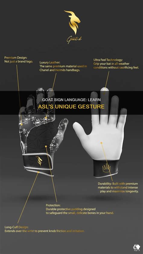 Goat in Sign Language 的图像结果