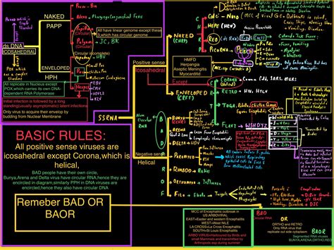 Image result for RNA Virus Classification