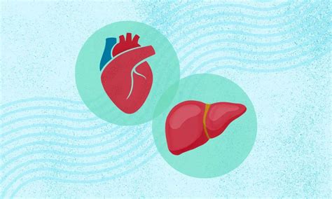 AI-Assisted Screening May Enhance Detection of Transthyretin Myloid ...