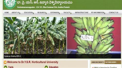 Dr YSR Horticultural University (DRYSRHU) Recruitment 2019 for Teaching ...