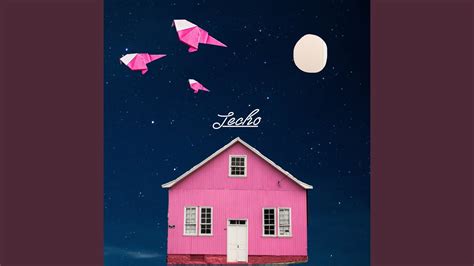 Image result for Techo Music