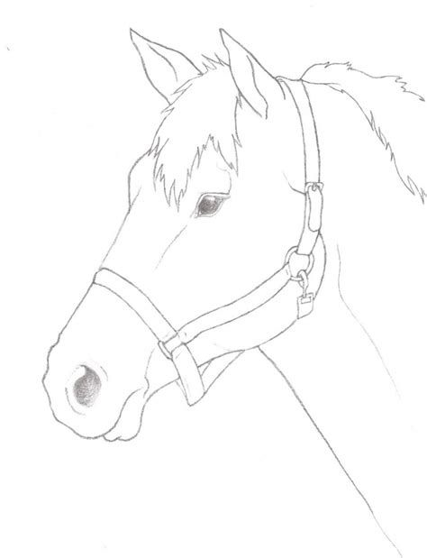 Horse Easy Drawing at GetDrawings | Free download