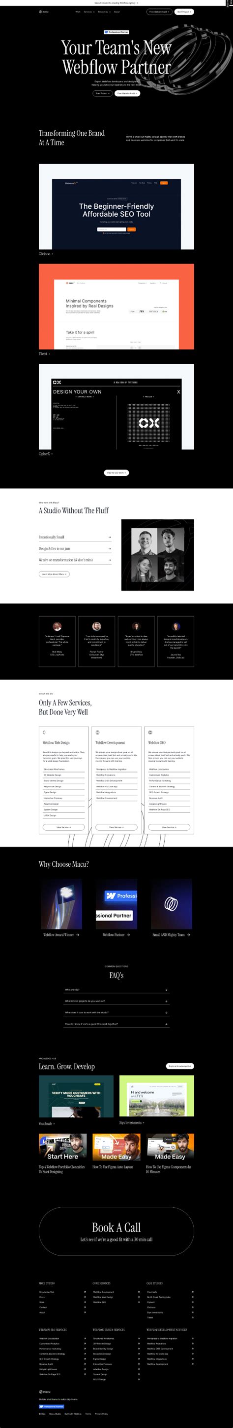 Web Flow Website Examples 的图像结果