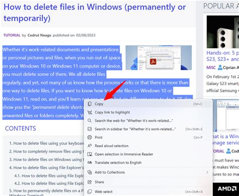 How to Copy and Paste On My Computer 的图像结果