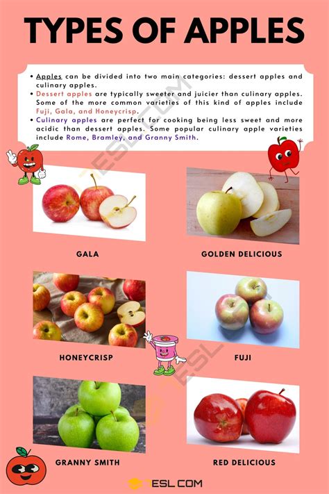 Cooking Apple Types 的图像结果