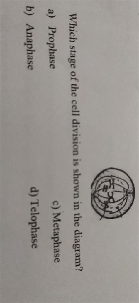 i) which stage of the cell division is shown in the diagram? a ...