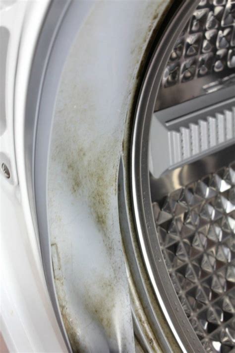 Image result for How to Clean Front Load Washer