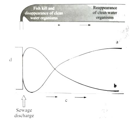 Recognise the figure and find out the correct matching