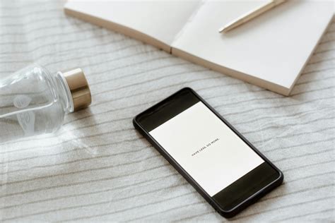 Do cockroaches have elytra?