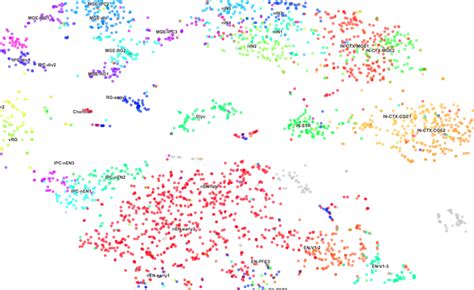 Image result for Gene Expression Map
