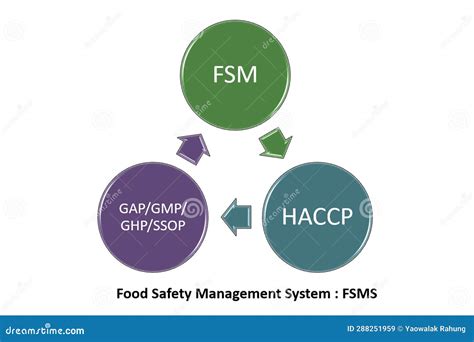 Food Safety Management System : FSMS, Vector Illustration Stock ...