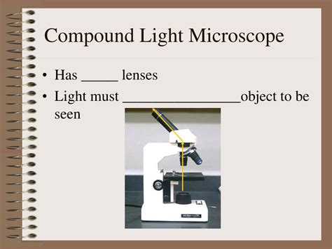Scientific Microscope 的图像结果