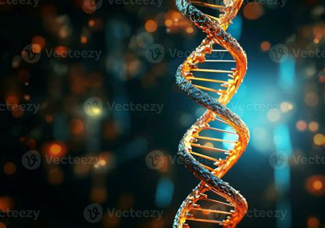 DNA Structure 的图像结果