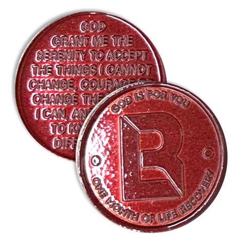 Image result for Addiction Recovery Chip