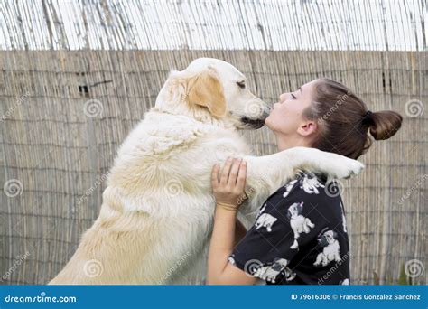 Dog Breed Golden Retriever Giving a Hug To His Owner. Stock Photo ...