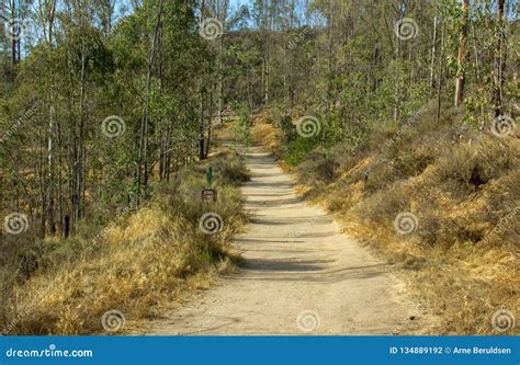 Hiking in Peters Canyon Regional Park Stock Photo - Image of hiking ...