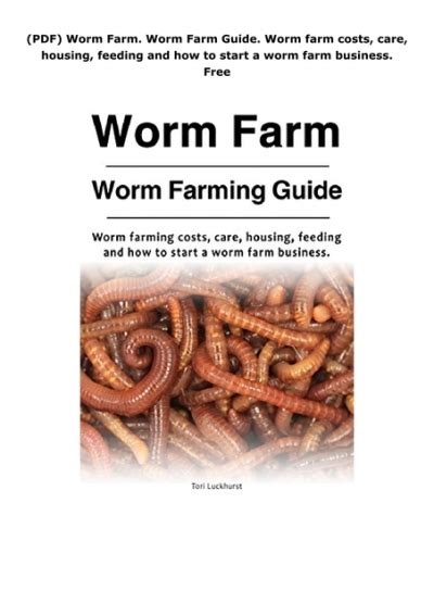 Worm Farm Business 的图像结果
