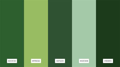 The Best 15 Bottle Green Color Palette Combinations