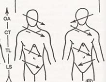 Image result for Common Compensatory Pattern