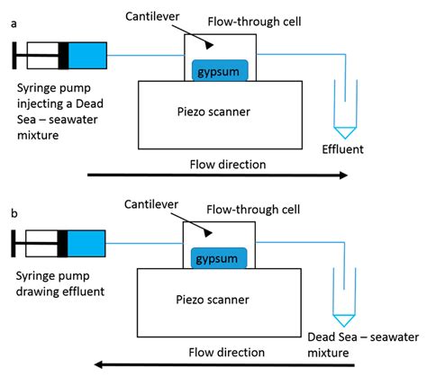 Gypsum Precipitation under Saline Conditions: Thermodynamics, Kinetics ...